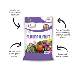 Atlantic fertiliser flower & fruit
