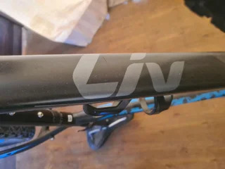 Liv  Tempo bike