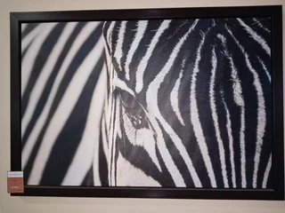 Zebra   Stripes (1200x800) Mahogany