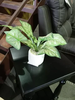 Amelia   Pedestal 2 Drw B/pu White