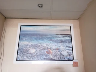 Shells   On Beach (900x600) White