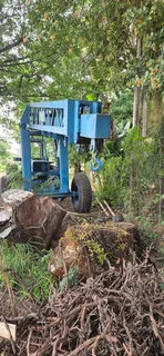 Mobilift Mobile Crane