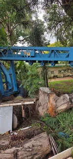 Mobilift Mobile Crane