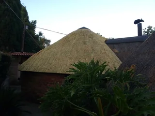 Phakisa Thatch Construction  lapas and repair building braai area