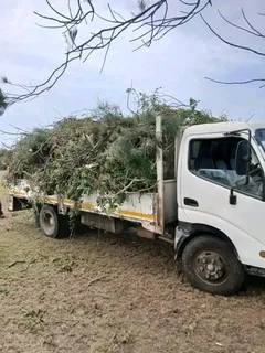 Truck for hire rubble removal furniture removal garden refuse and long distance 0839826457