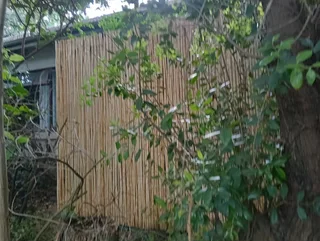 Bamboo and wood fencing