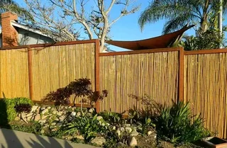 Bambo and wood fancing