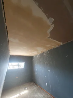 Ceilings and partitions   skimming