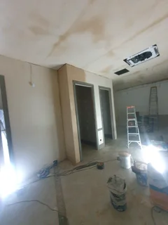 Ceilings and partitions   skimming