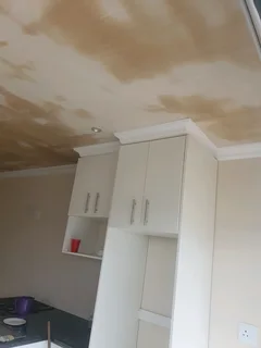 Ceilings and partitions