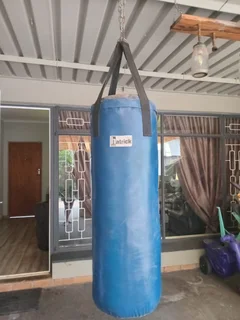 Boxing bag and 5kg medicine ball