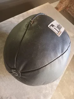 Boxing bag and 5kg medicine ball
