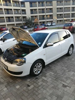 Polo vivo