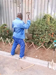 He Is Looking For A Job As A Gardener