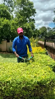 Well Experienced Gardener Is Looking For A Job