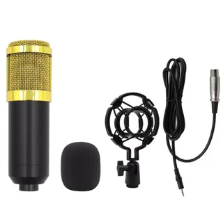 Professional USB Condenser Microphone Kit for Podcasting &amp; Streaming
