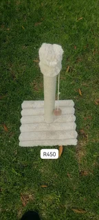 Cats scraching posts