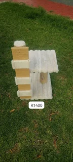 Cats scraching posts