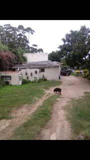 Small Holding Farm For Sale