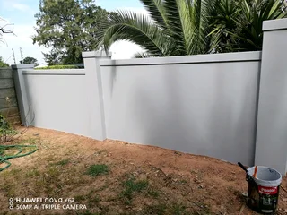 I am looking for painting job