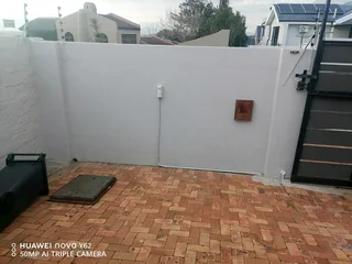 I am looking for painting job