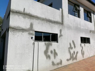 I am looking for painting job