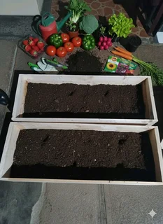 Wood planting boxes(custom made)