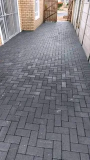 Paving bricks