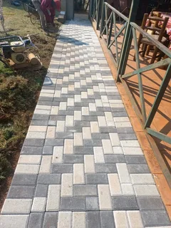Paving bricks