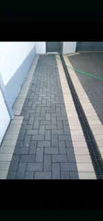 Paving bricks