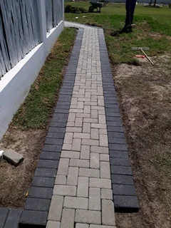 Paving bricks