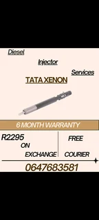 TATA XENON DIESEL INJECTOR SERVICS