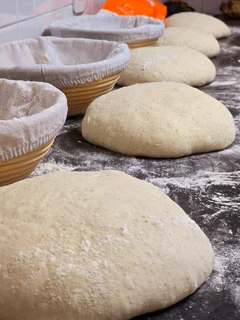 SOURDOUGH STARTER (Ready to Use) DELIVERED TO YOUR DOOR