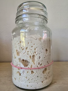 SOURDOUGH STARTER (Ready to Use) DELIVERED TO YOUR DOOR