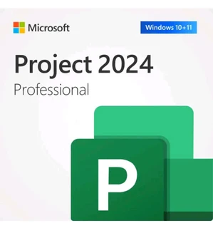 Microsoft project 2024 professional