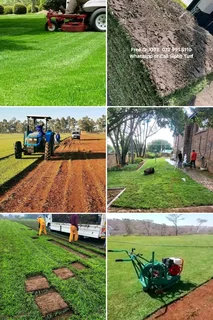 We deliver and install evergreen grass .*Berea Shade *Royal Blue *Kikuyu Rapid Growth *Buffalo