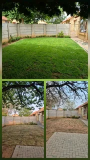 We deliver and install evergreen grass .*Berea Shade *Royal Blue *Kikuyu Rapid Growth *Buffalo