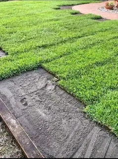 Instant grass delivery and installation