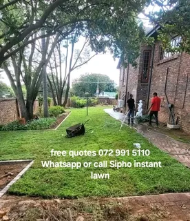 Instant green grass straight from the farm