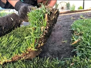 Evergreen grass delivery and installati