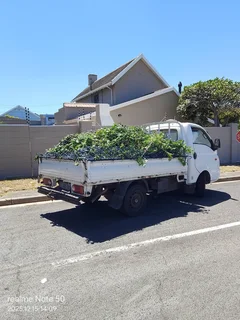 Garbage waste and garden refused removals