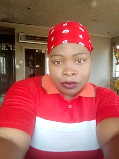 Domestic work
