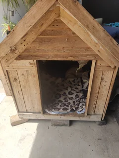 Dog house