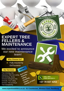 Tree felling and home maintenance