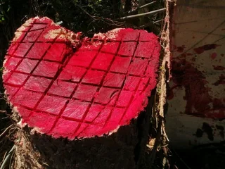 A&j Tree Felling And Garden Services