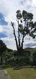 A&amp;j Tree Felling And Garden Services