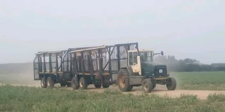 Sugar Cane Link Spiller Trailers For Sale.