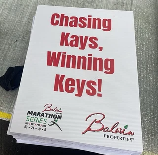 Car Magnets, domed badges, signage, banners, custom wall paper and more