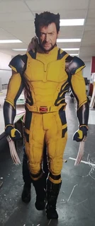 Car Magnets, domed badges, signage, banners, custom wall paper and more