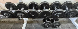DUMBBELLS. - Ad posted by Manfred and Louise Stieler